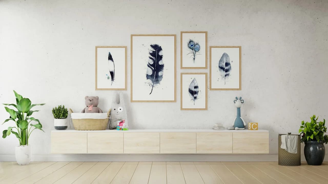 Pied Crow shown in a room setting