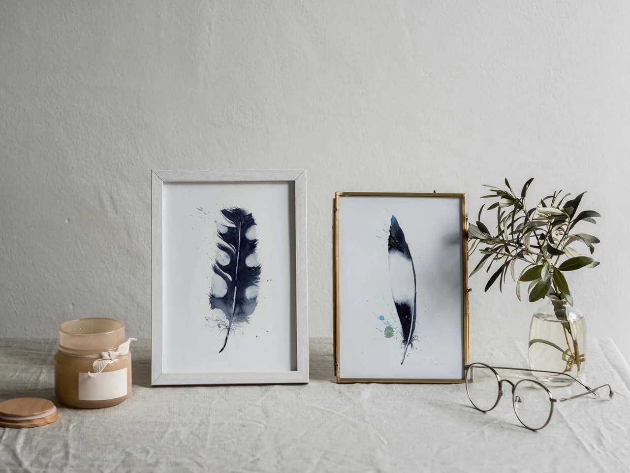 Pied Crow shown in a room setting