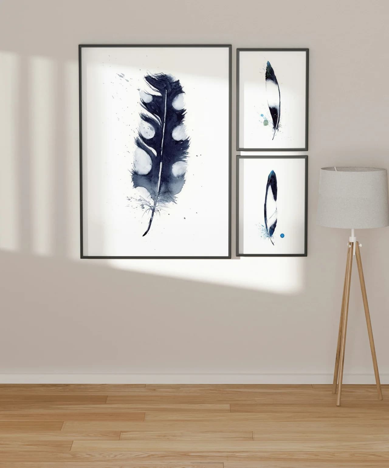Pied Crow shown in a room setting