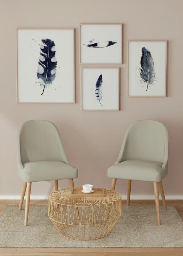 Pied Crow shown in a room setting