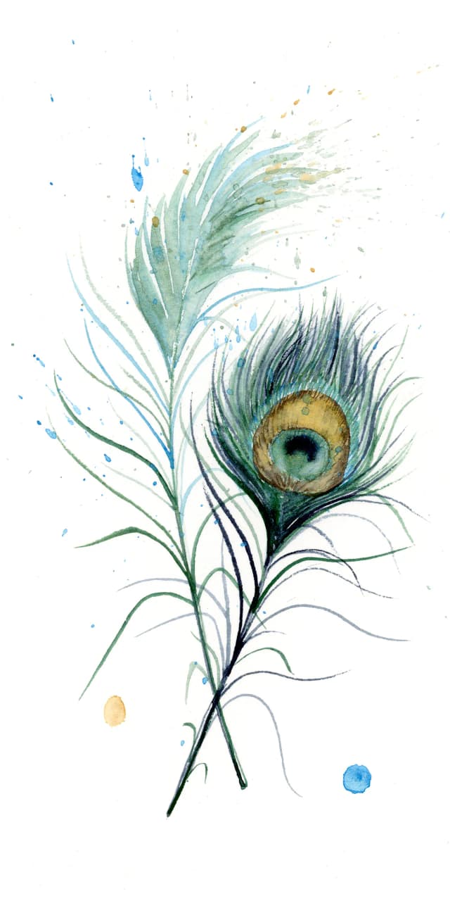 Peacock — watercolor by Shayna Larsen