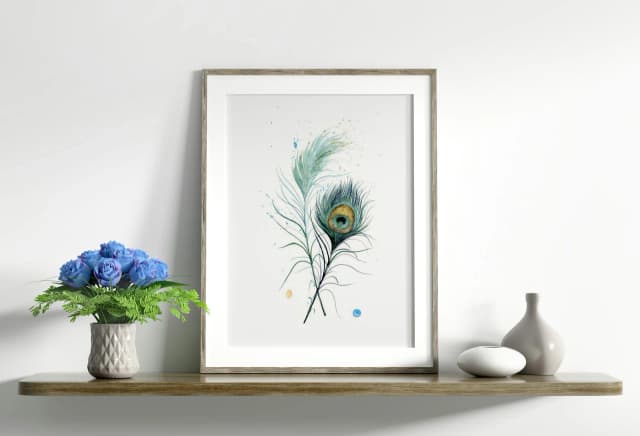 Peacock shown in a room setting