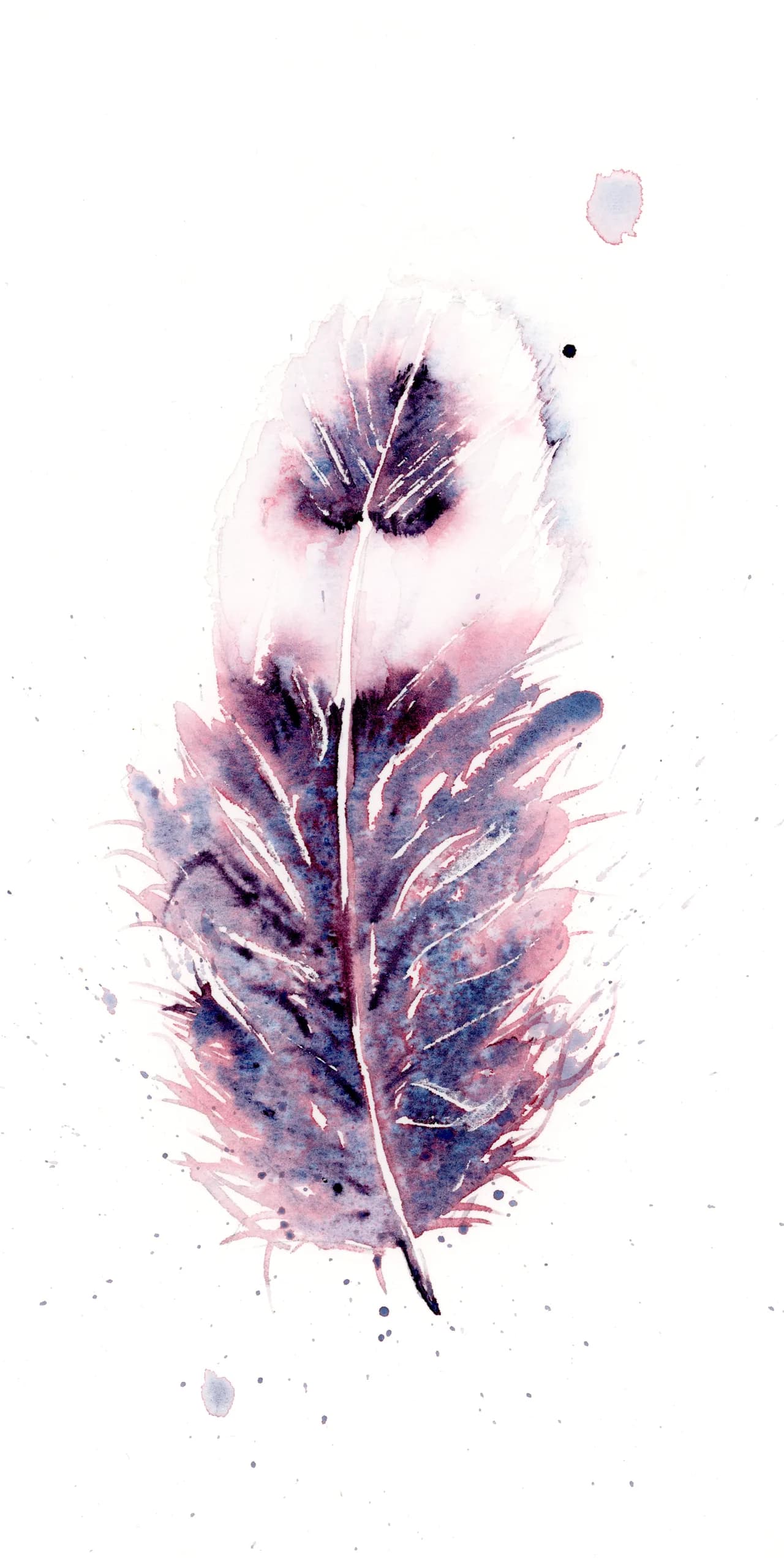 Northern Flicker — watercolor by Shayna Larsen