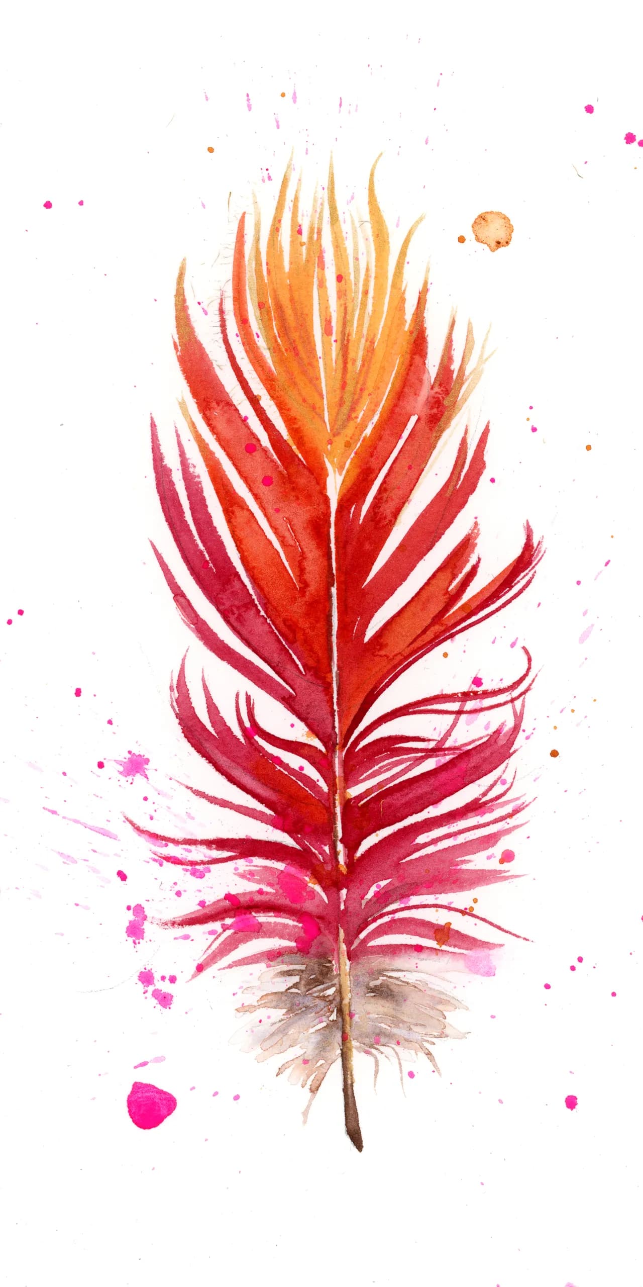 Scarlet Macaw — watercolor by Shayna Larsen