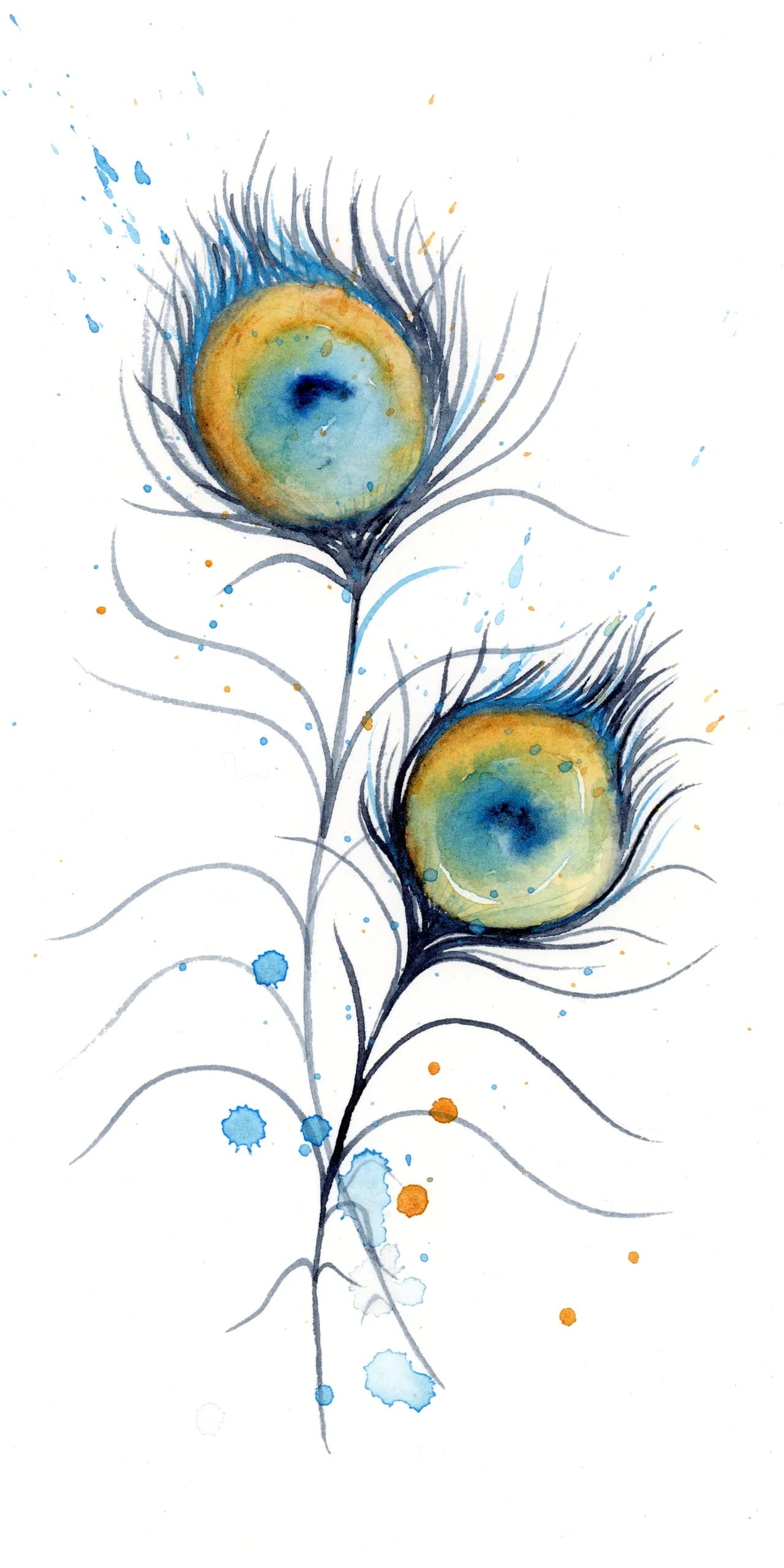 Peacock — watercolor by Shayna Larsen