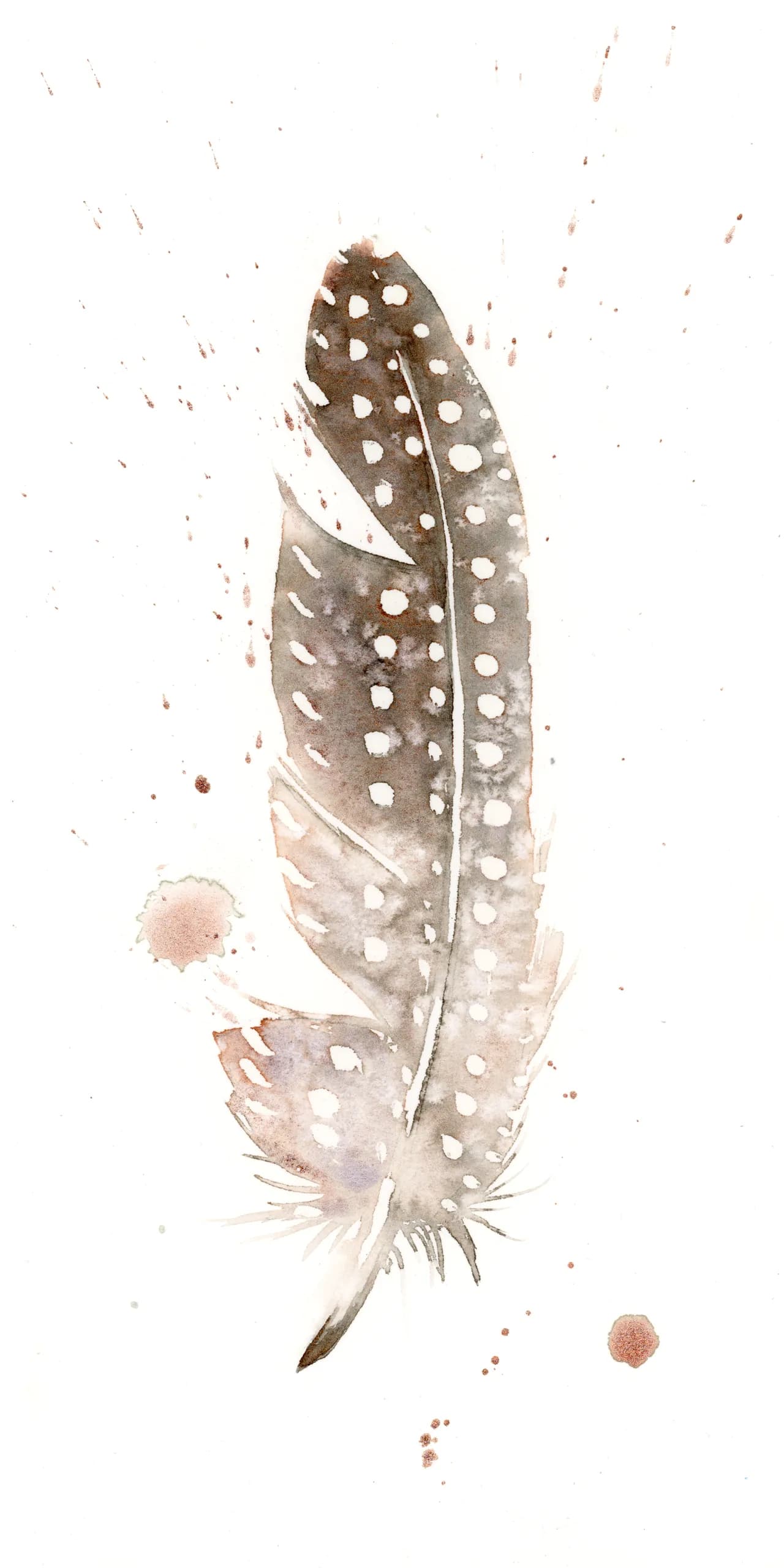 Guinea Fowl — watercolor by Shayna Larsen
