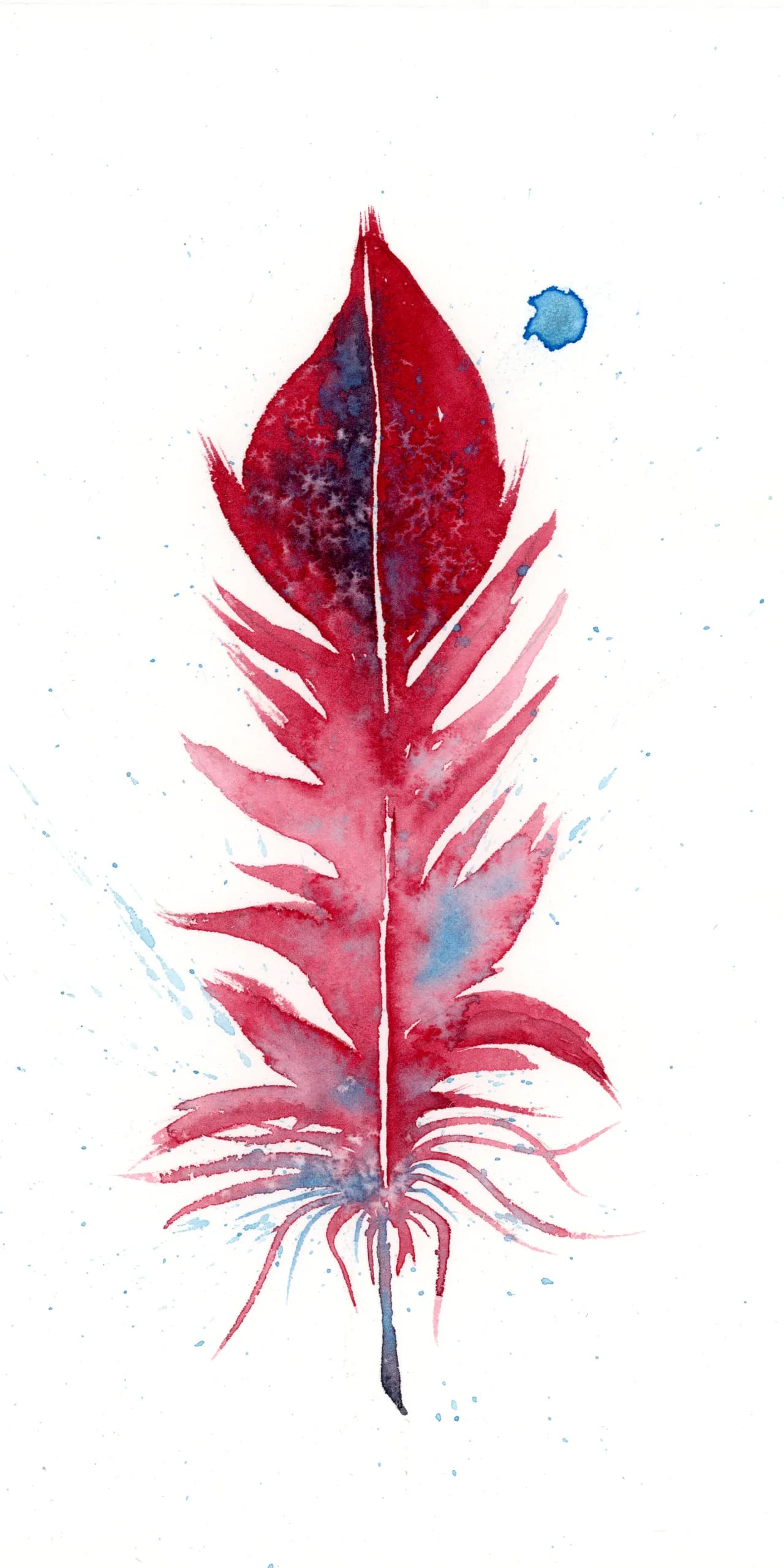 Scarlet Macaw — watercolor by Shayna Larsen