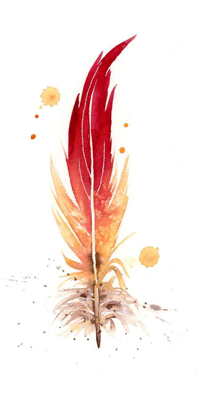 Flame-colored Tanager — watercolor by Shayna Larsen