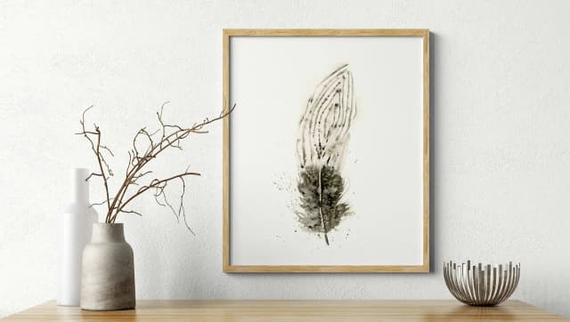 Silver Pheasant shown in a room setting