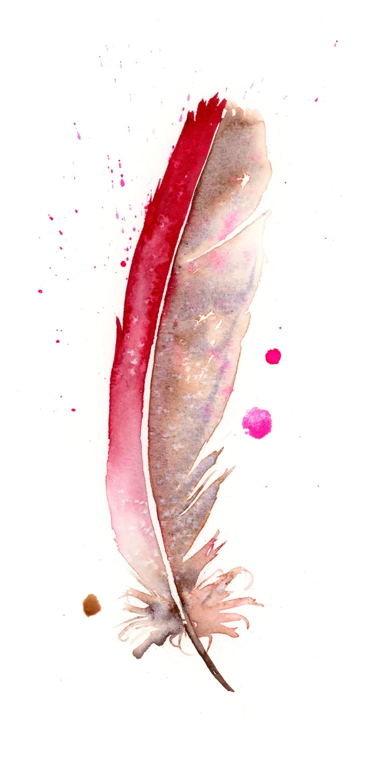 Cardinal — watercolor by Shayna Larsen