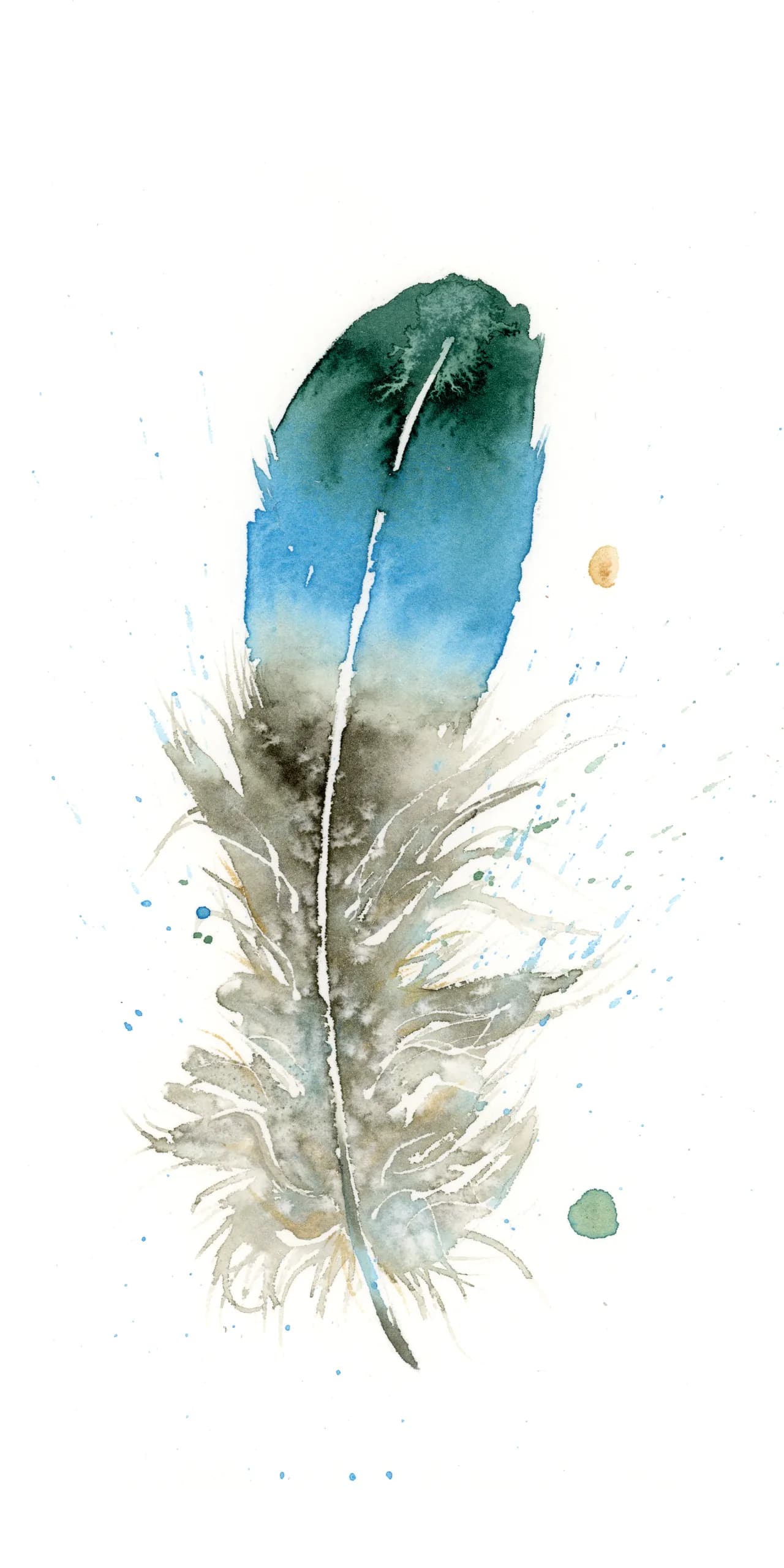 Duck — watercolor by Shayna Larsen