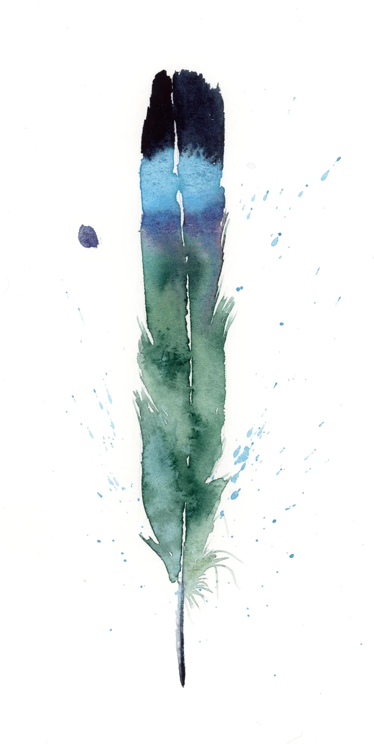 Magpie Tailfeather — watercolor by Shayna Larsen