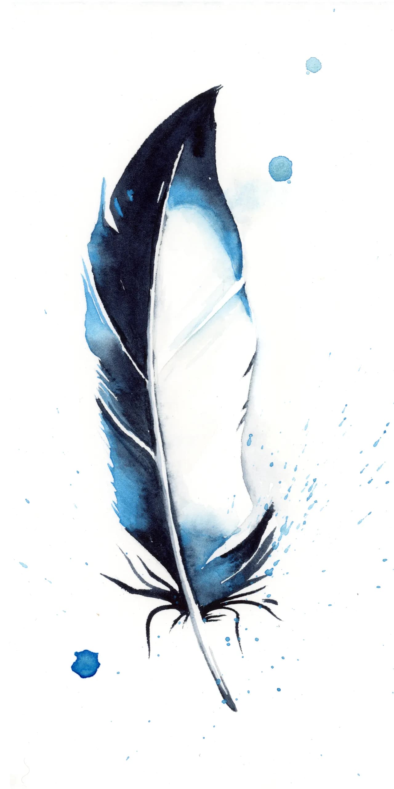 Blue Jay — watercolor by Shayna Larsen