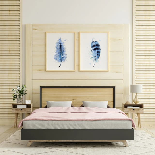 Blue Jay shown in a room setting
