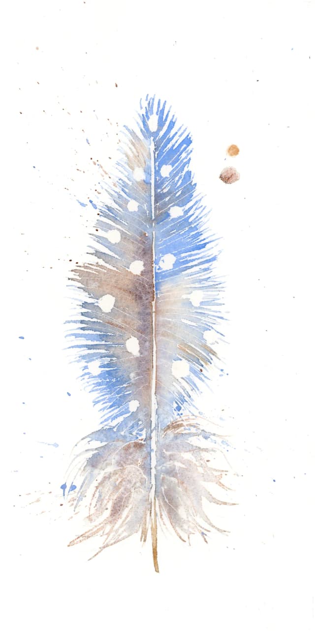 Banded Kingfisher — watercolor by Shayna Larsen