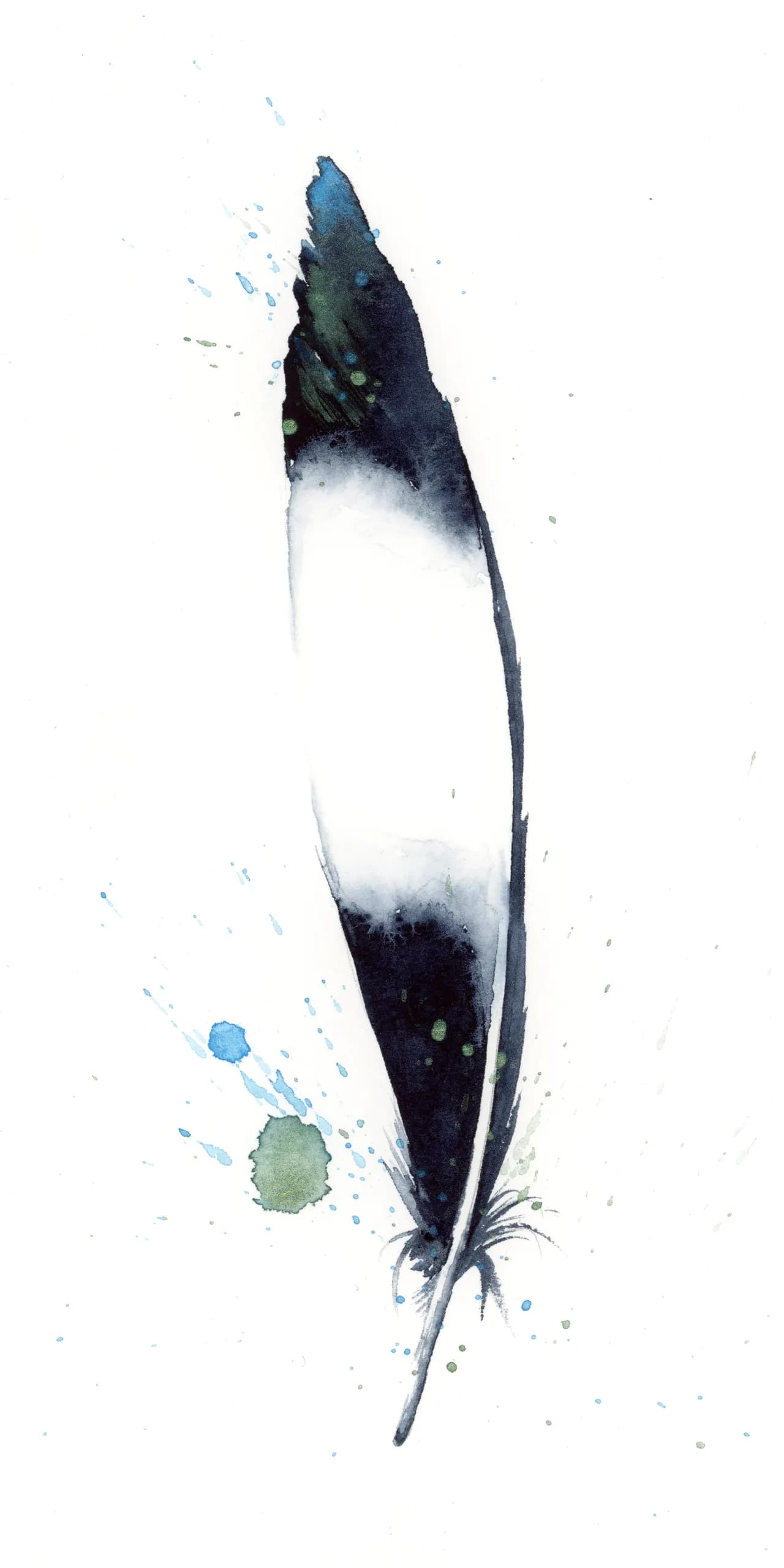 Magpie Wing — watercolor by Shayna Larsen