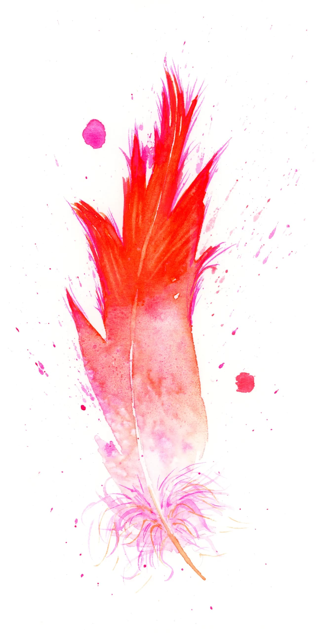 Flamingo — watercolor by Shayna Larsen