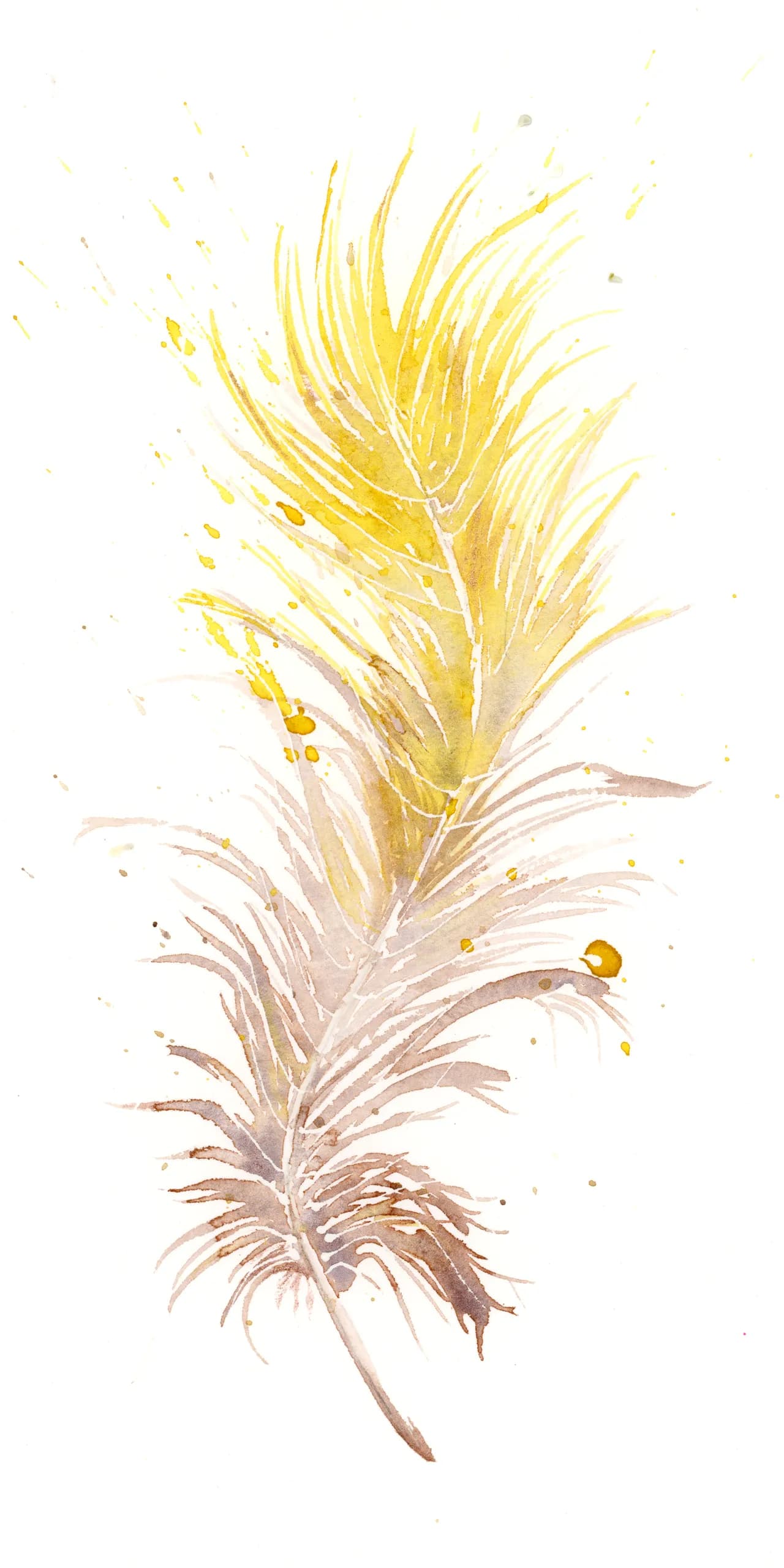 Canary — watercolor by Shayna Larsen