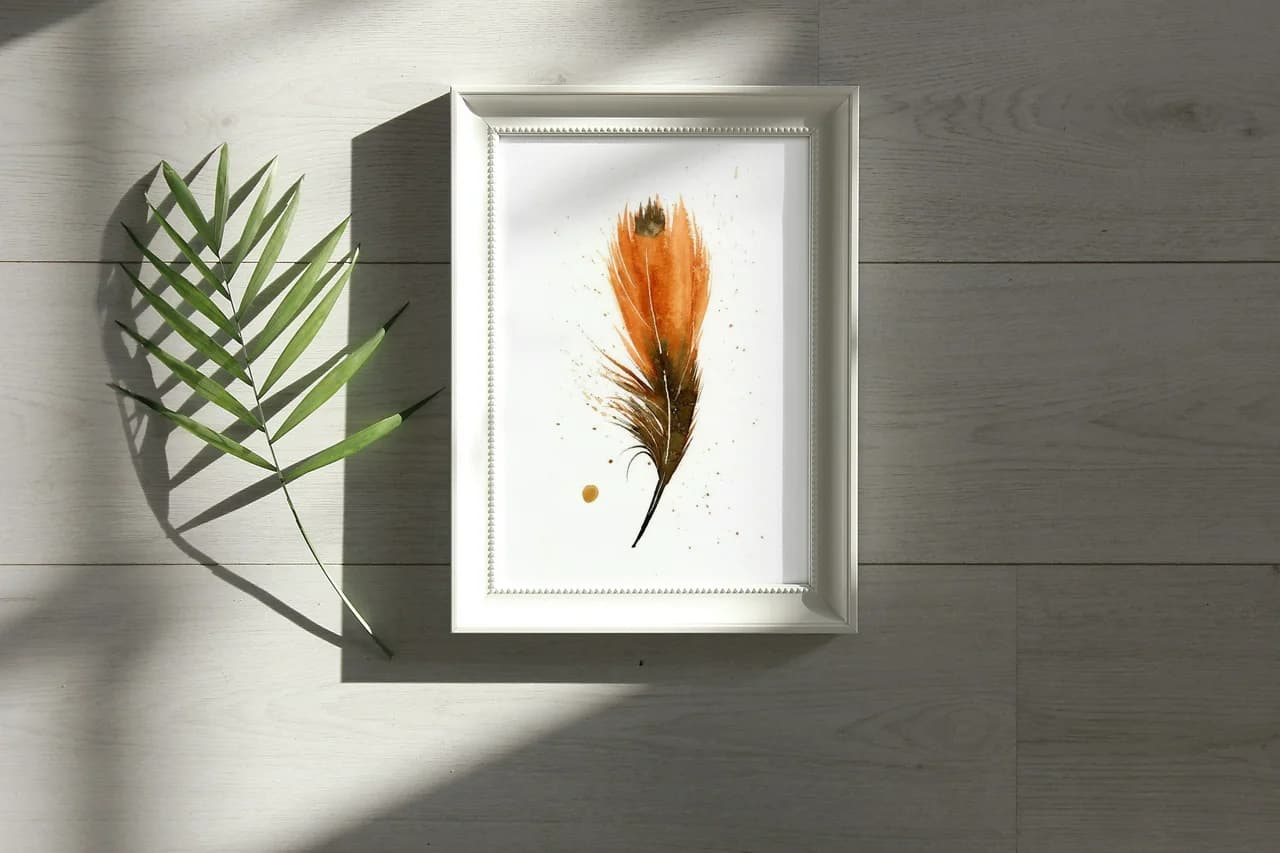 American Robin shown in a room setting