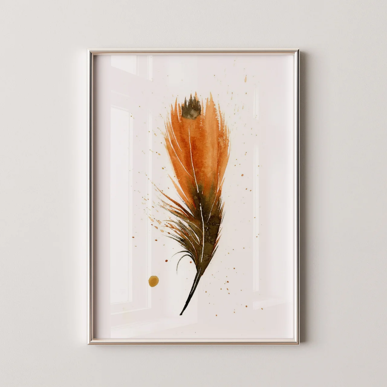 American Robin shown in a room setting