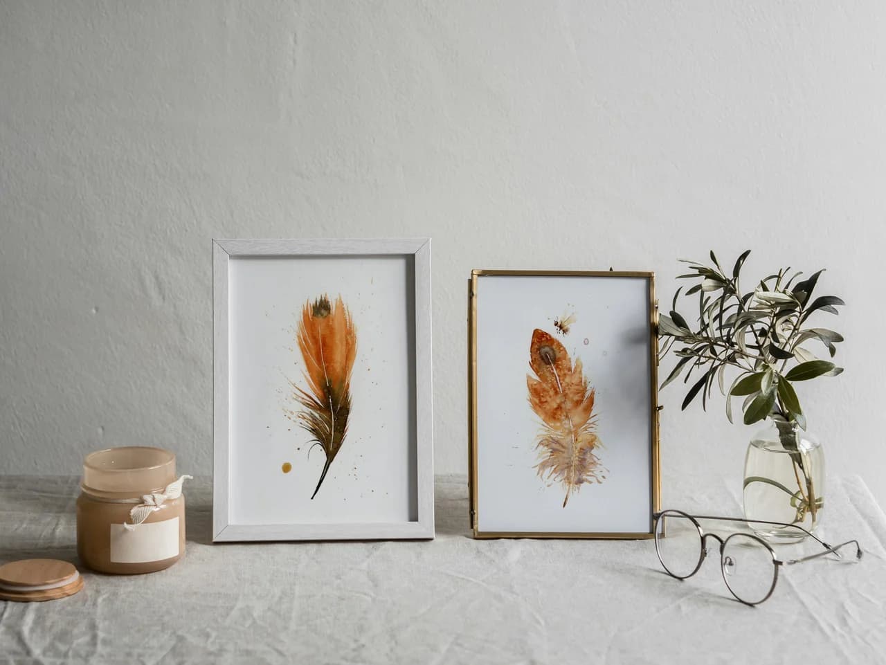 American Robin shown in a room setting