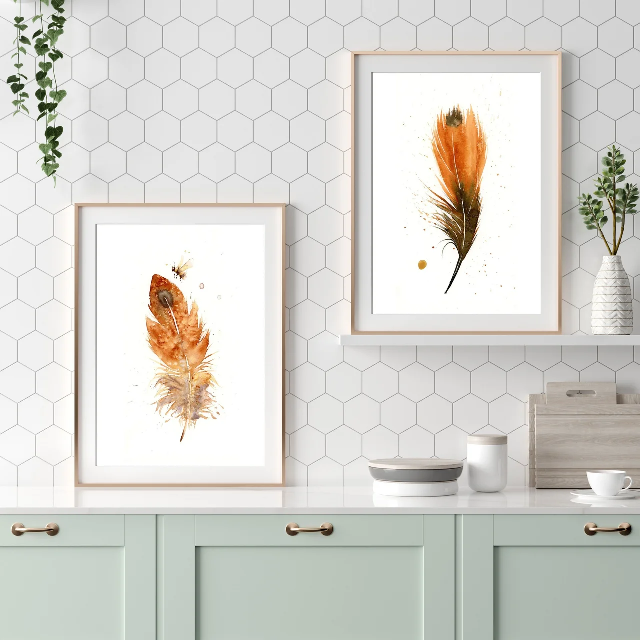 American Robin shown in a room setting