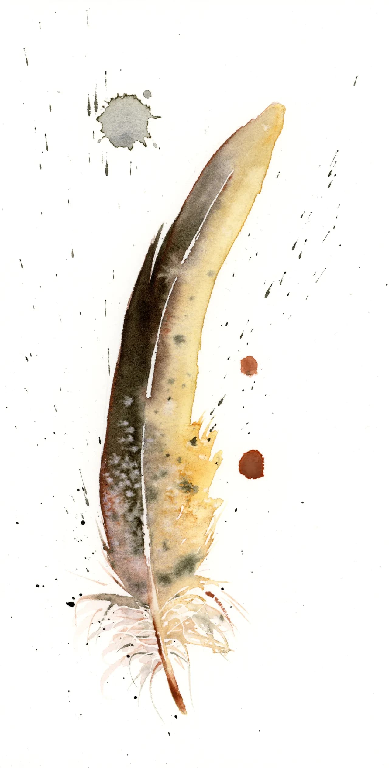 Turkey Vulture — watercolor by Shayna Larsen