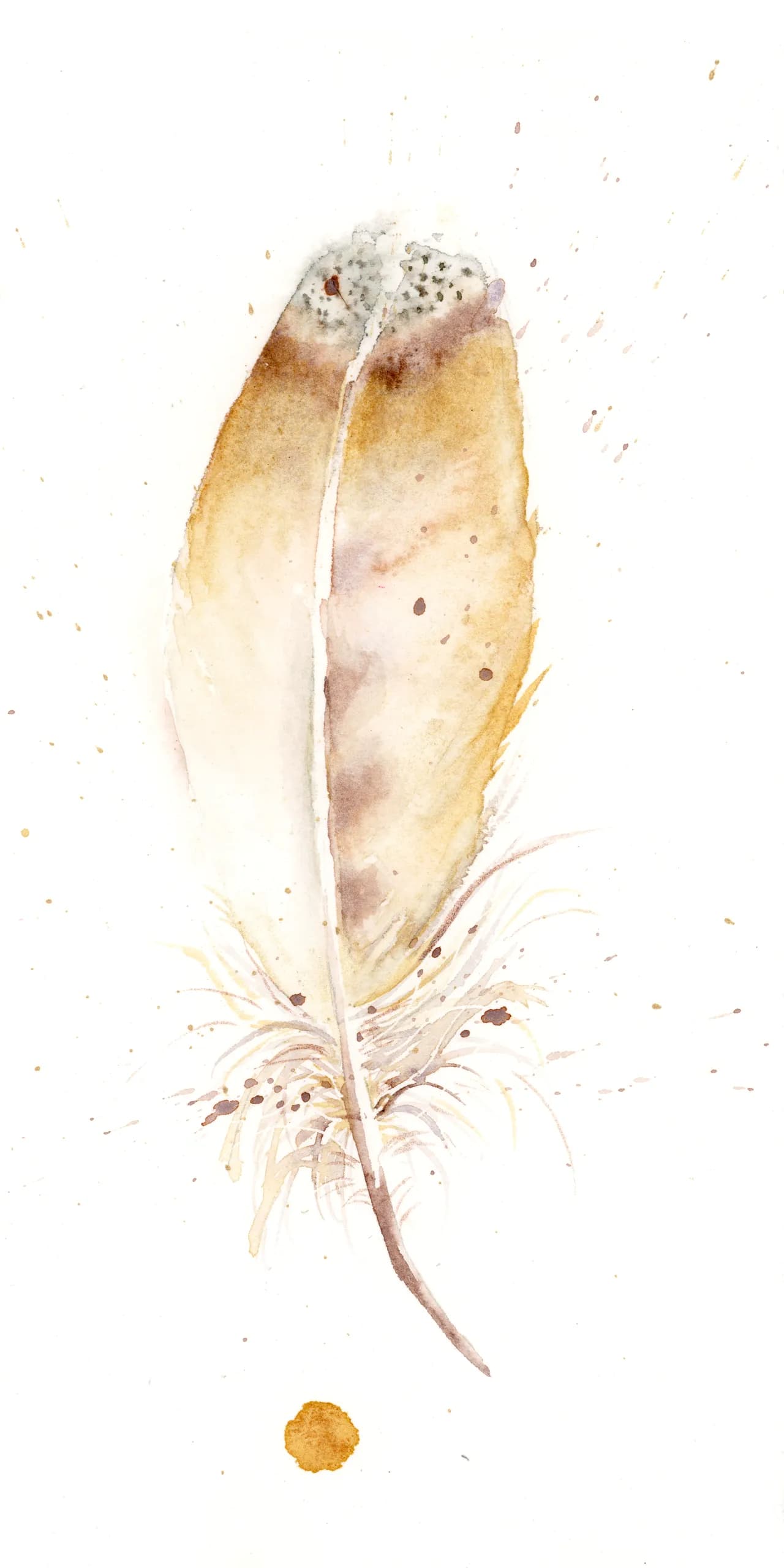 Owl — watercolor by Shayna Larsen