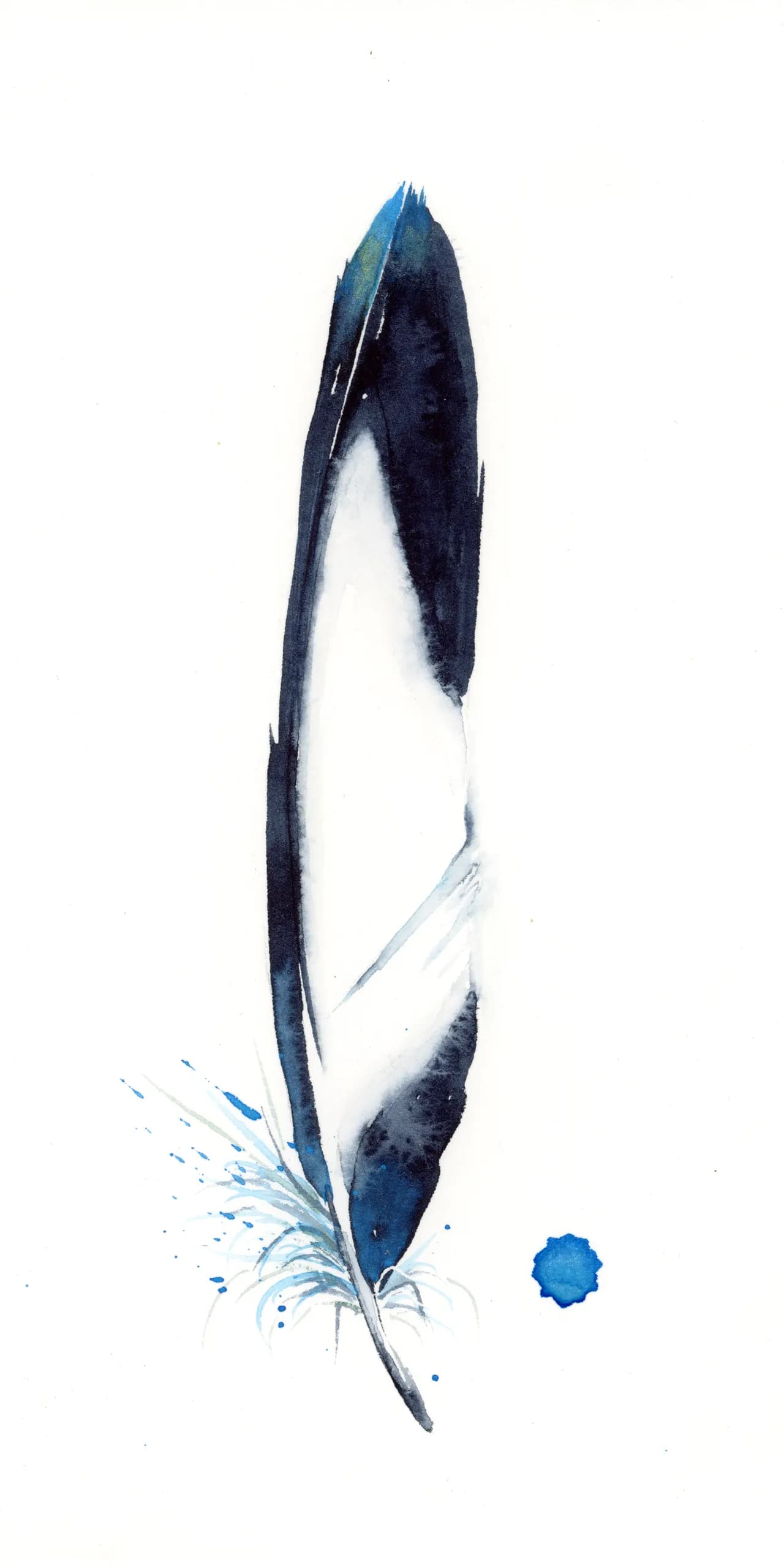 Magpie — watercolor by Shayna Larsen