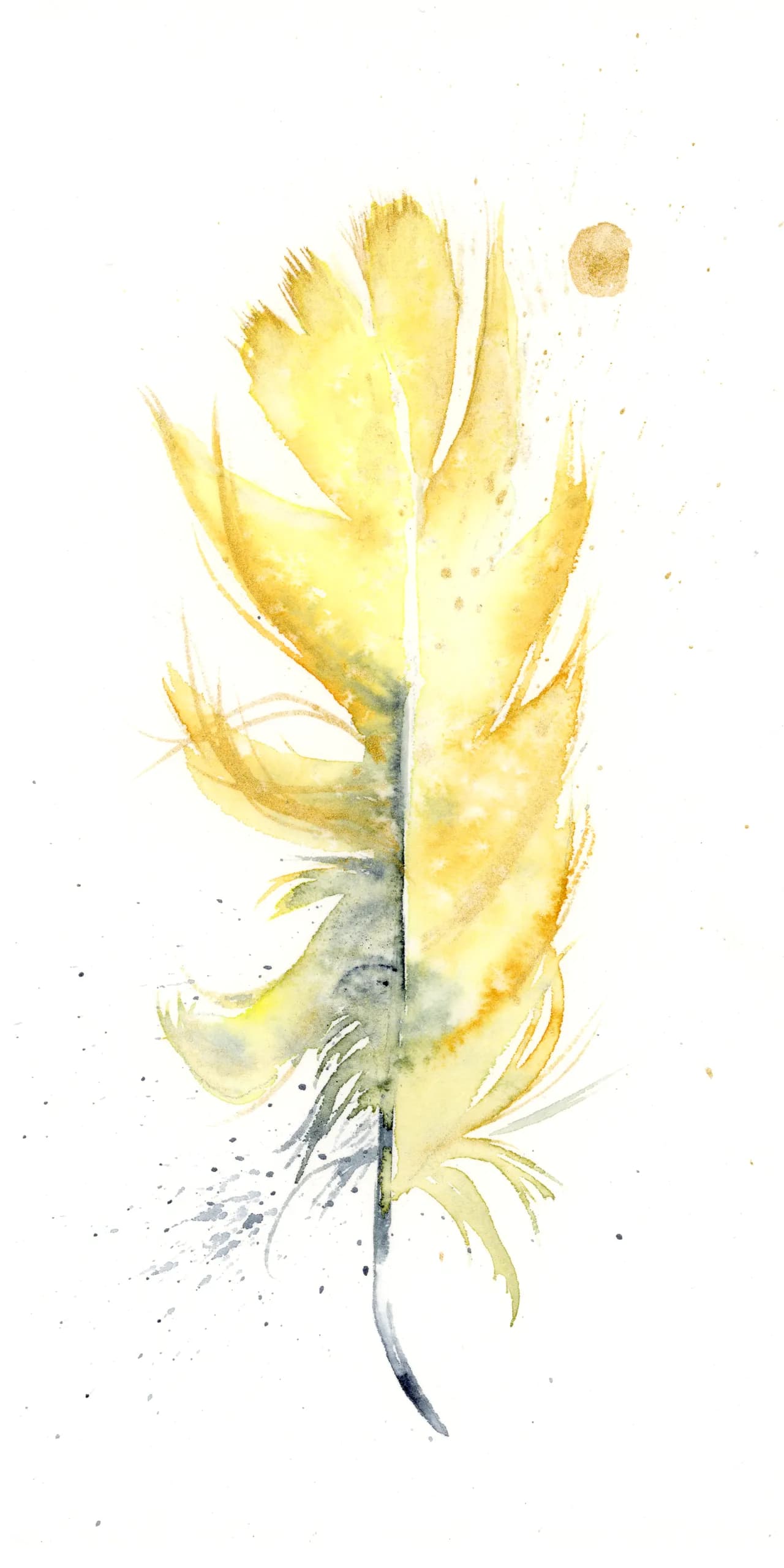 Meadowlark — watercolor by Shayna Larsen