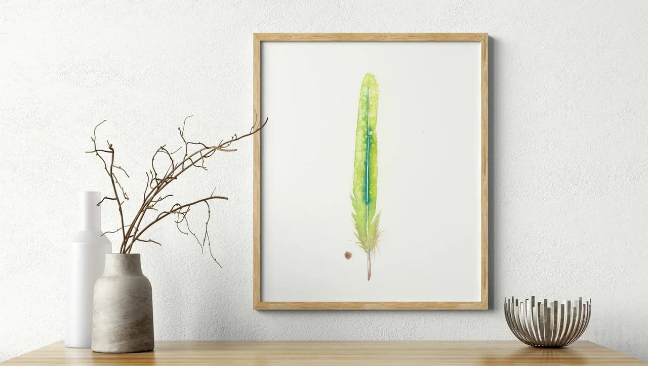 Quetzal shown in a room setting