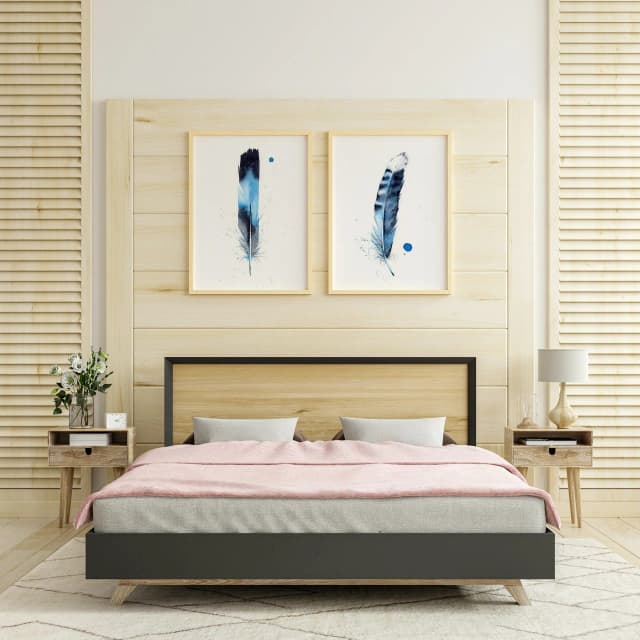 Blue Jay shown in a room setting