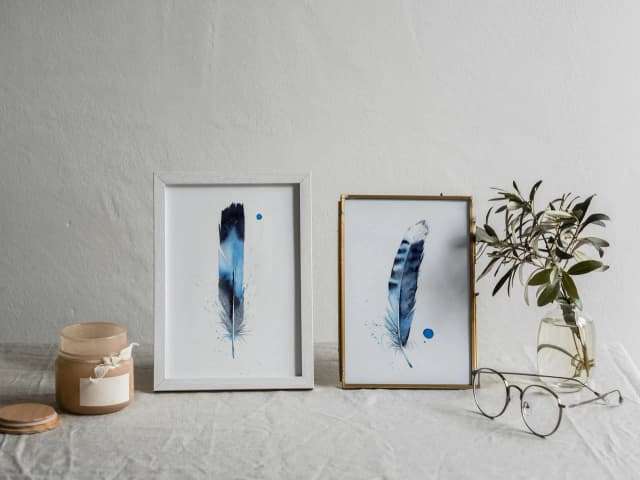 Blue Jay shown in a room setting