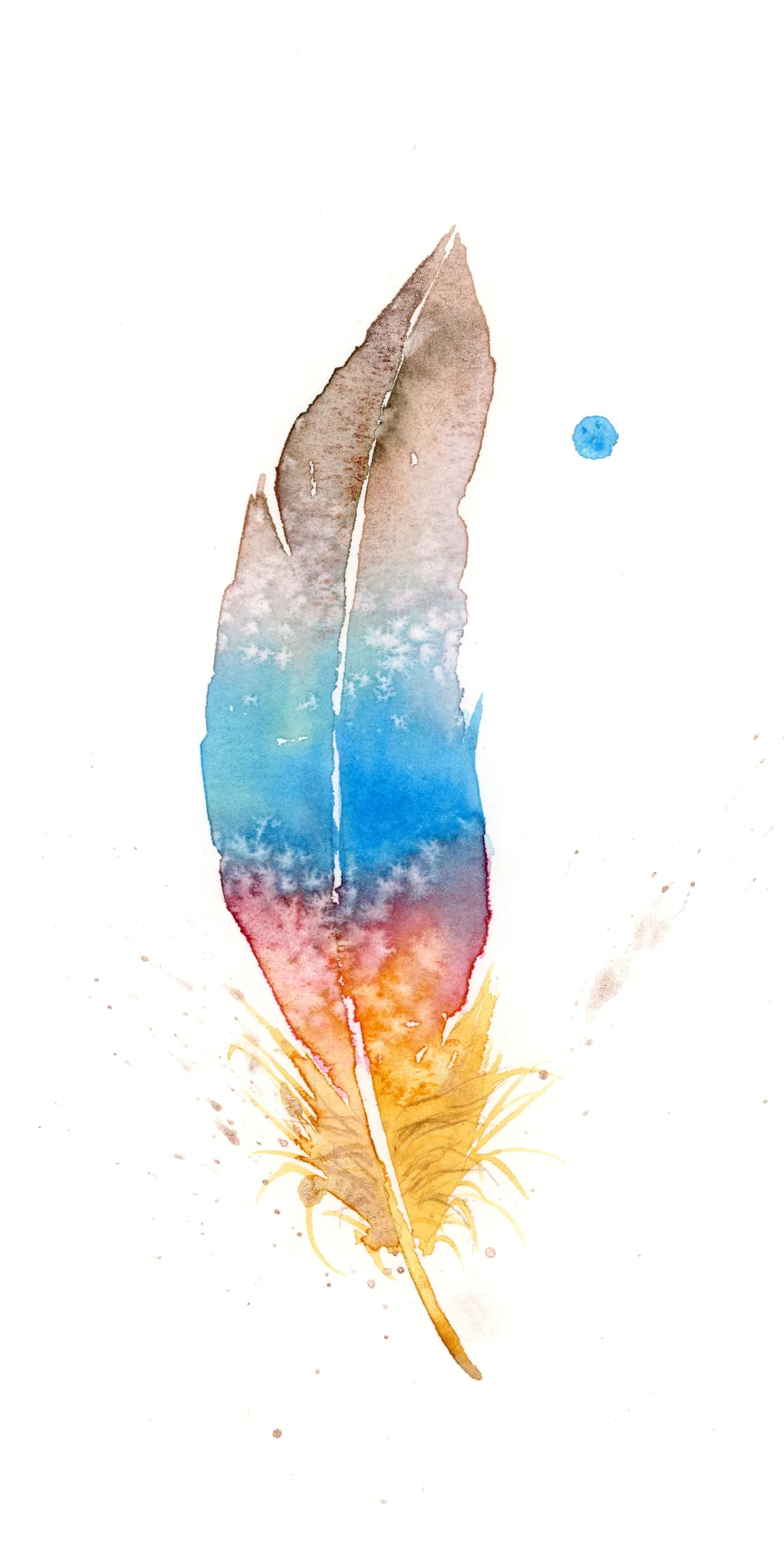 Blue Jay — watercolor by Shayna Larsen