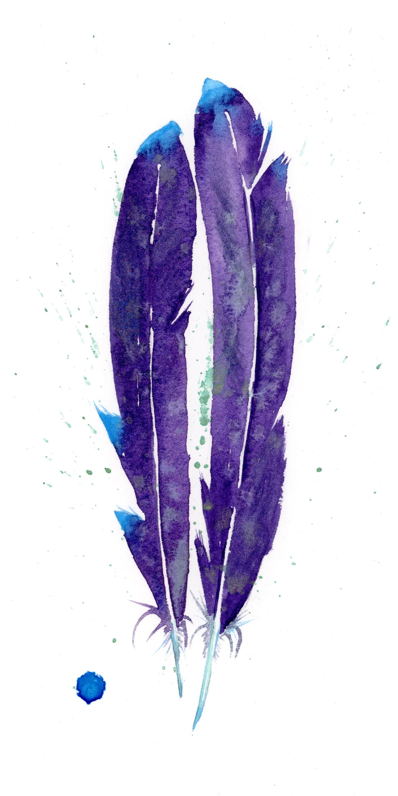 Violet-Tailed Sylph Hummingbird — watercolor by Shayna Larsen