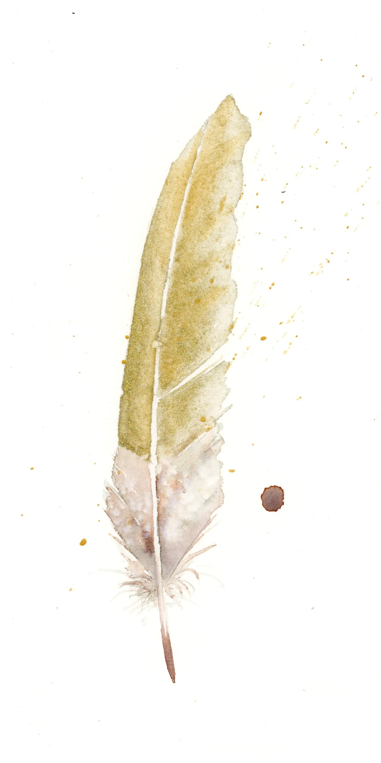 Wood Duck — watercolor by Shayna Larsen