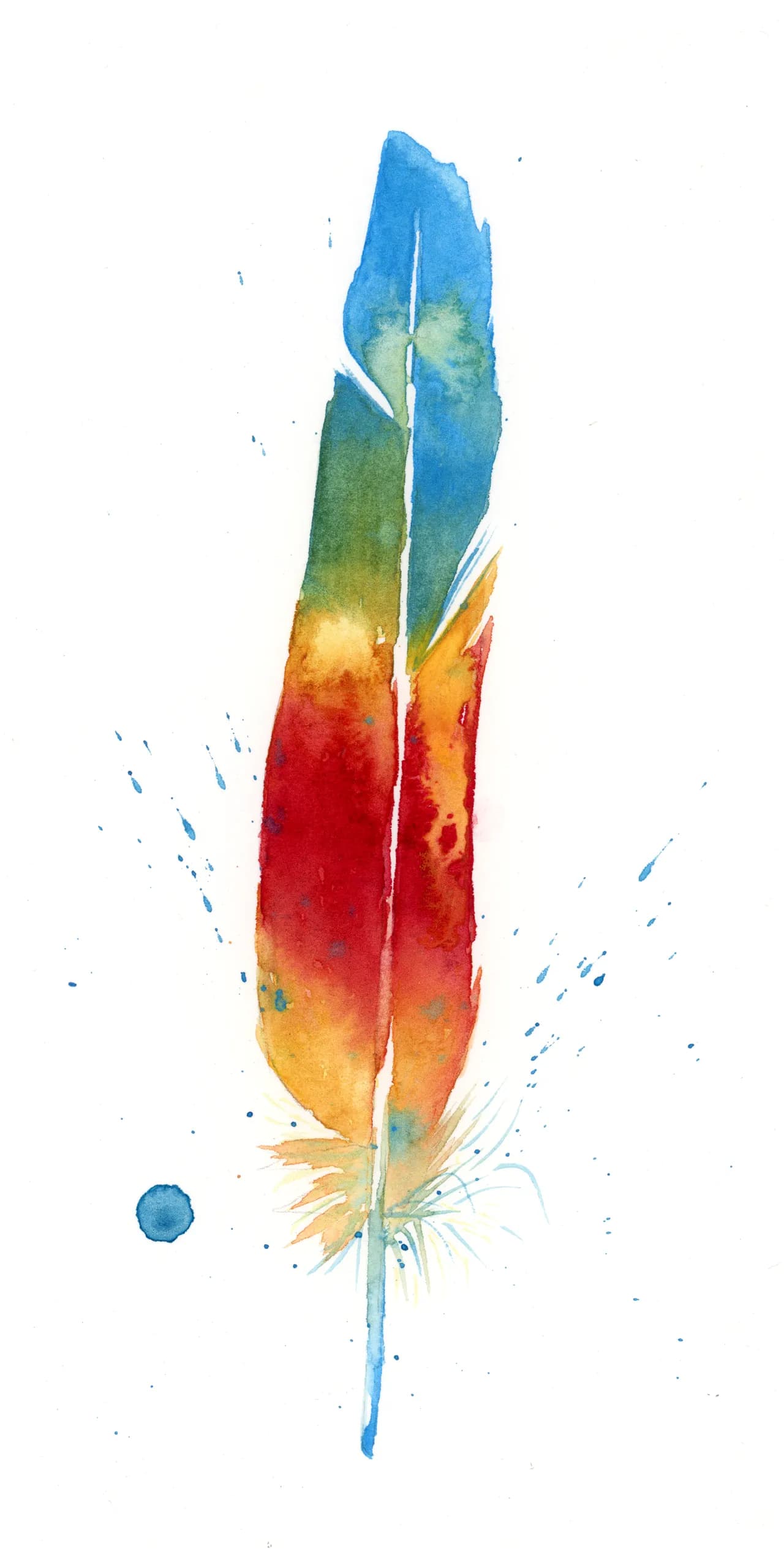 Macaw — watercolor by Shayna Larsen
