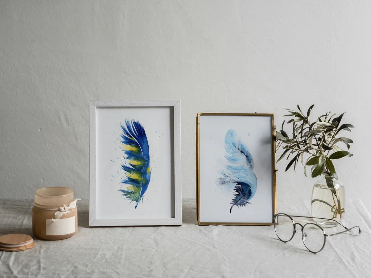 Macaw shown in a room setting