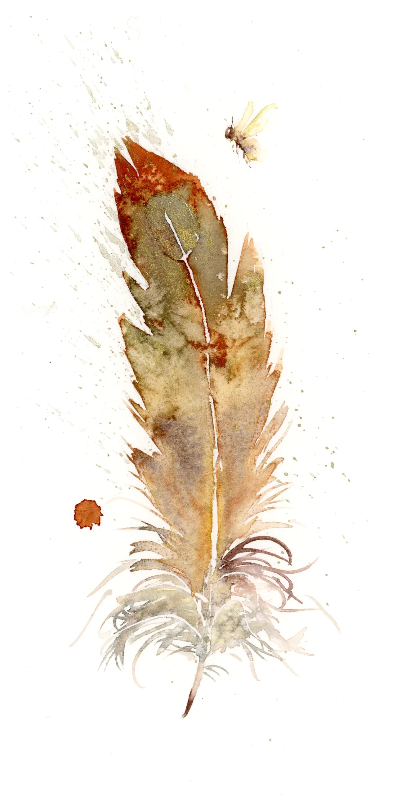 Swallow-tailed Kite — watercolor by Shayna Larsen