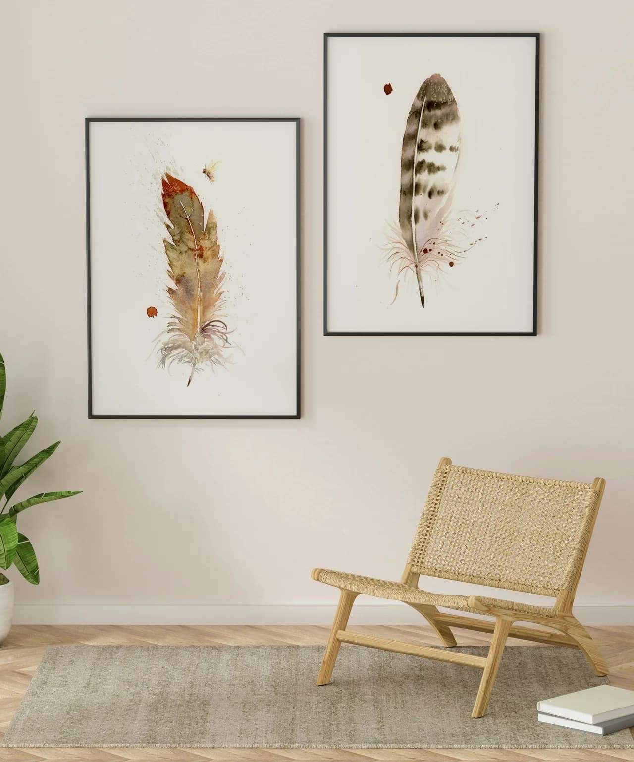 Swallow-tailed Kite shown in a room setting