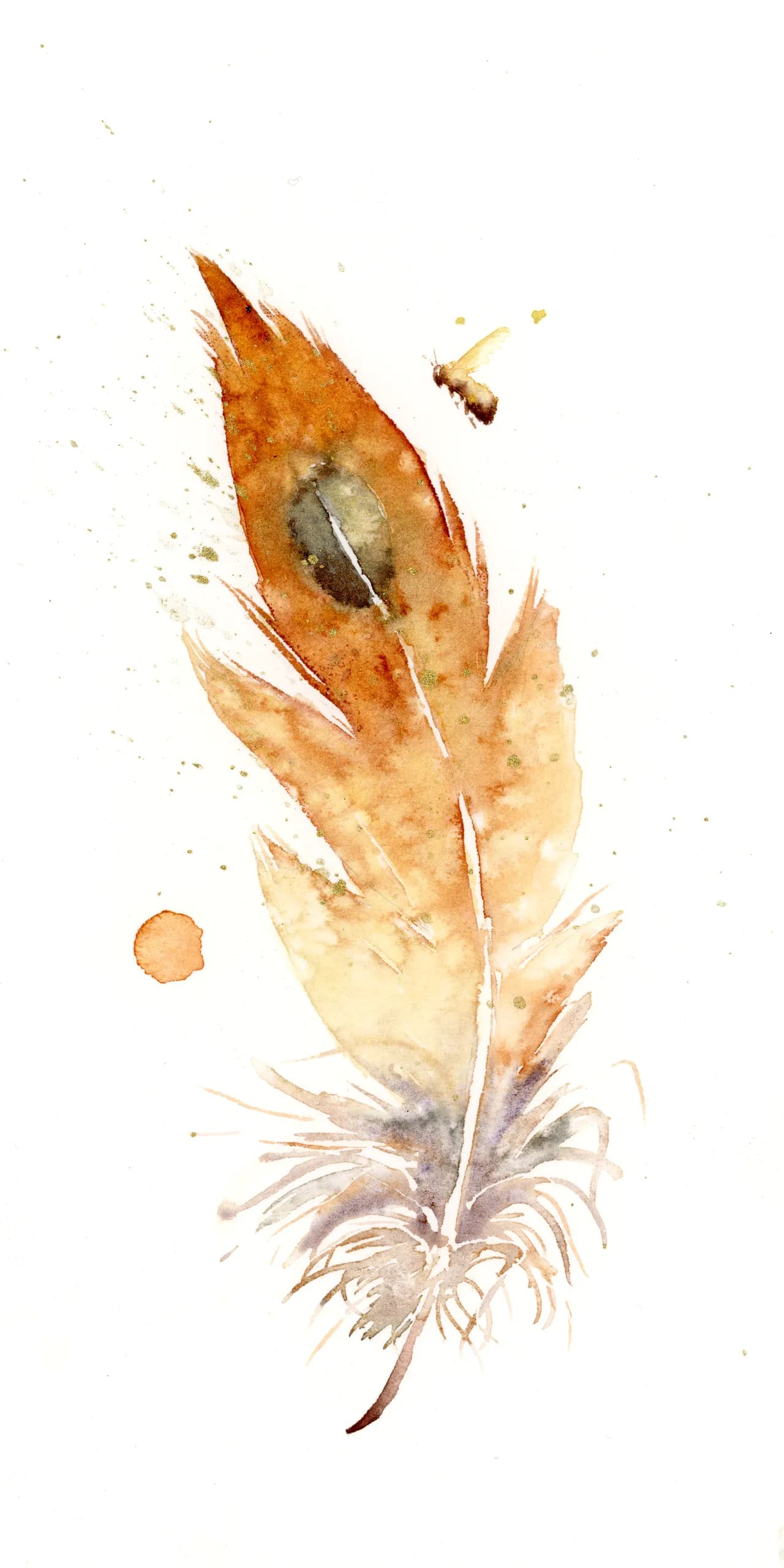 Barn Owl — watercolor by Shayna Larsen