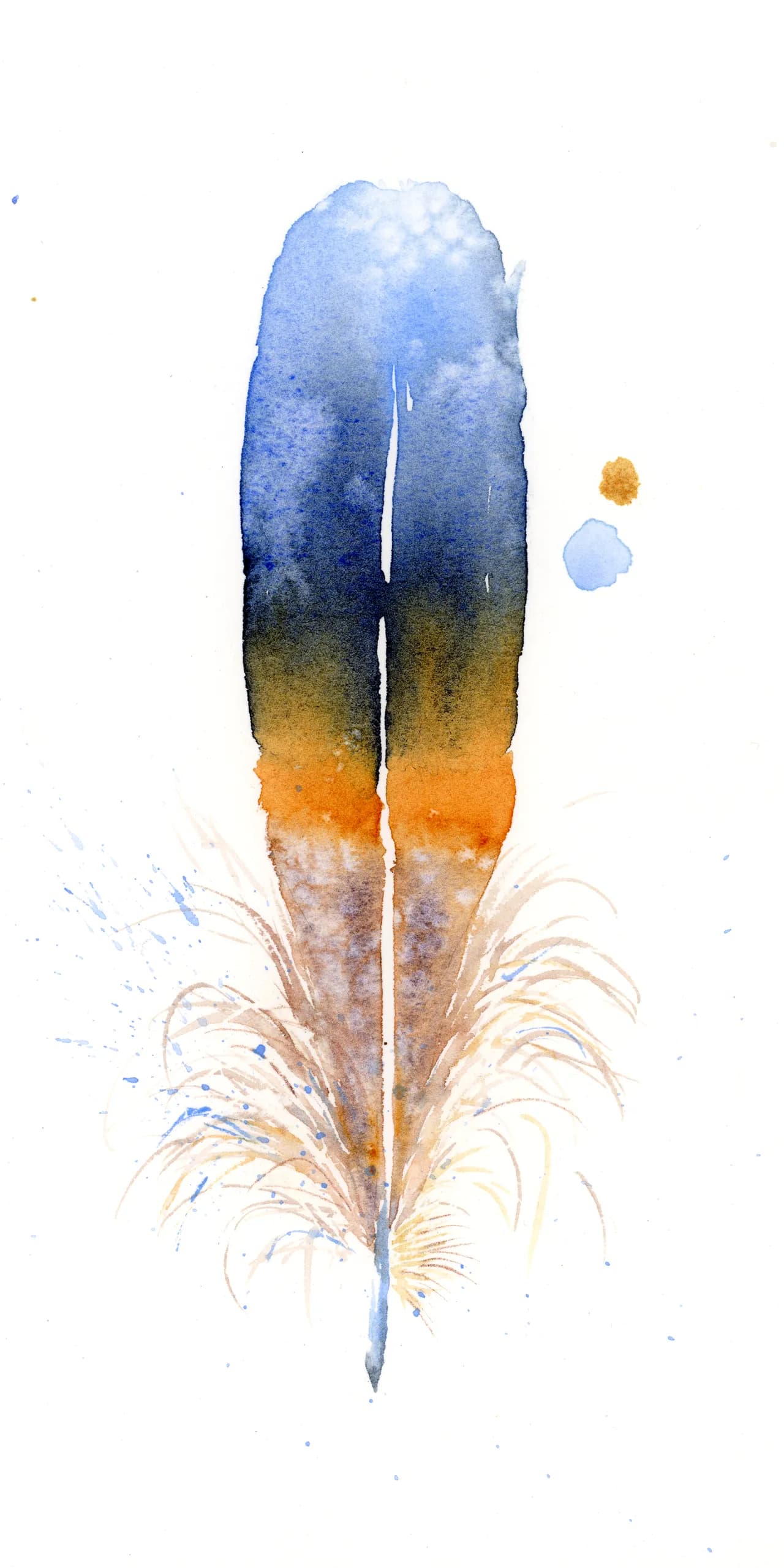 Wild Duck — watercolor by Shayna Larsen
