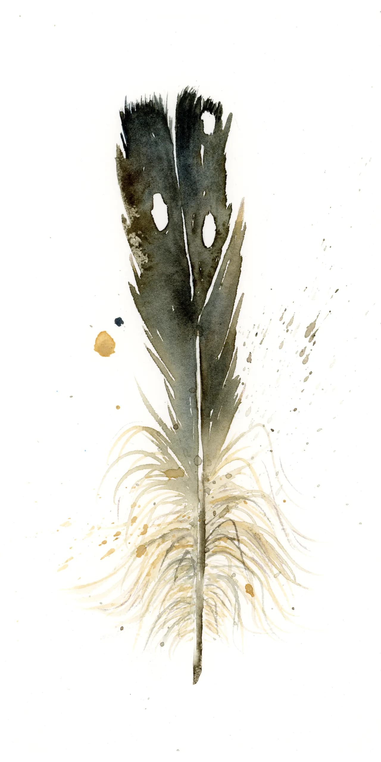 Loon — watercolor by Shayna Larsen