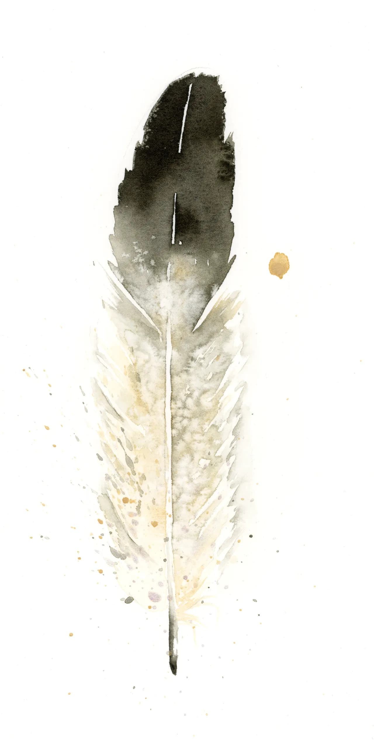 Eagle — watercolor by Shayna Larsen