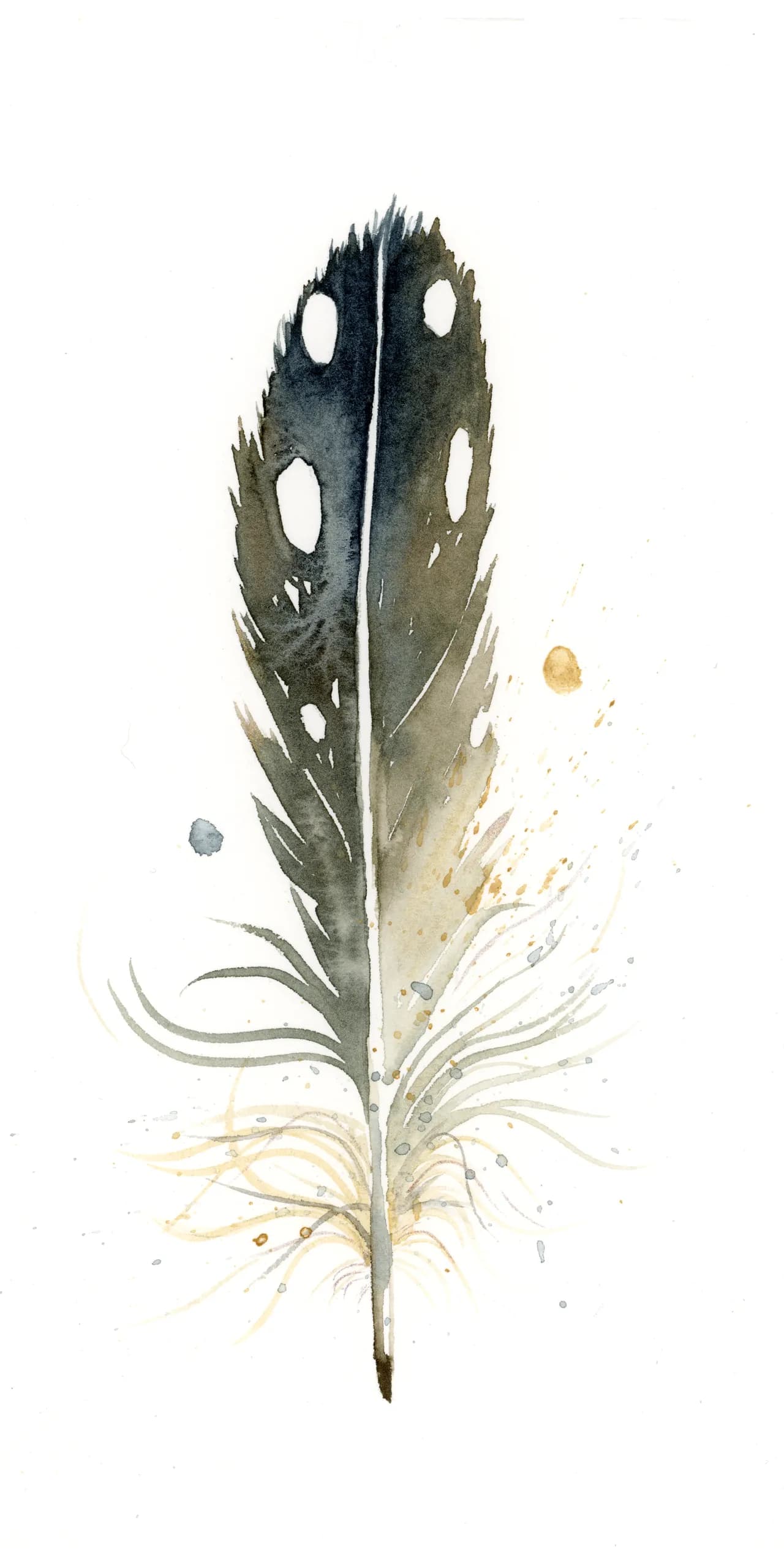 Loon — watercolor by Shayna Larsen