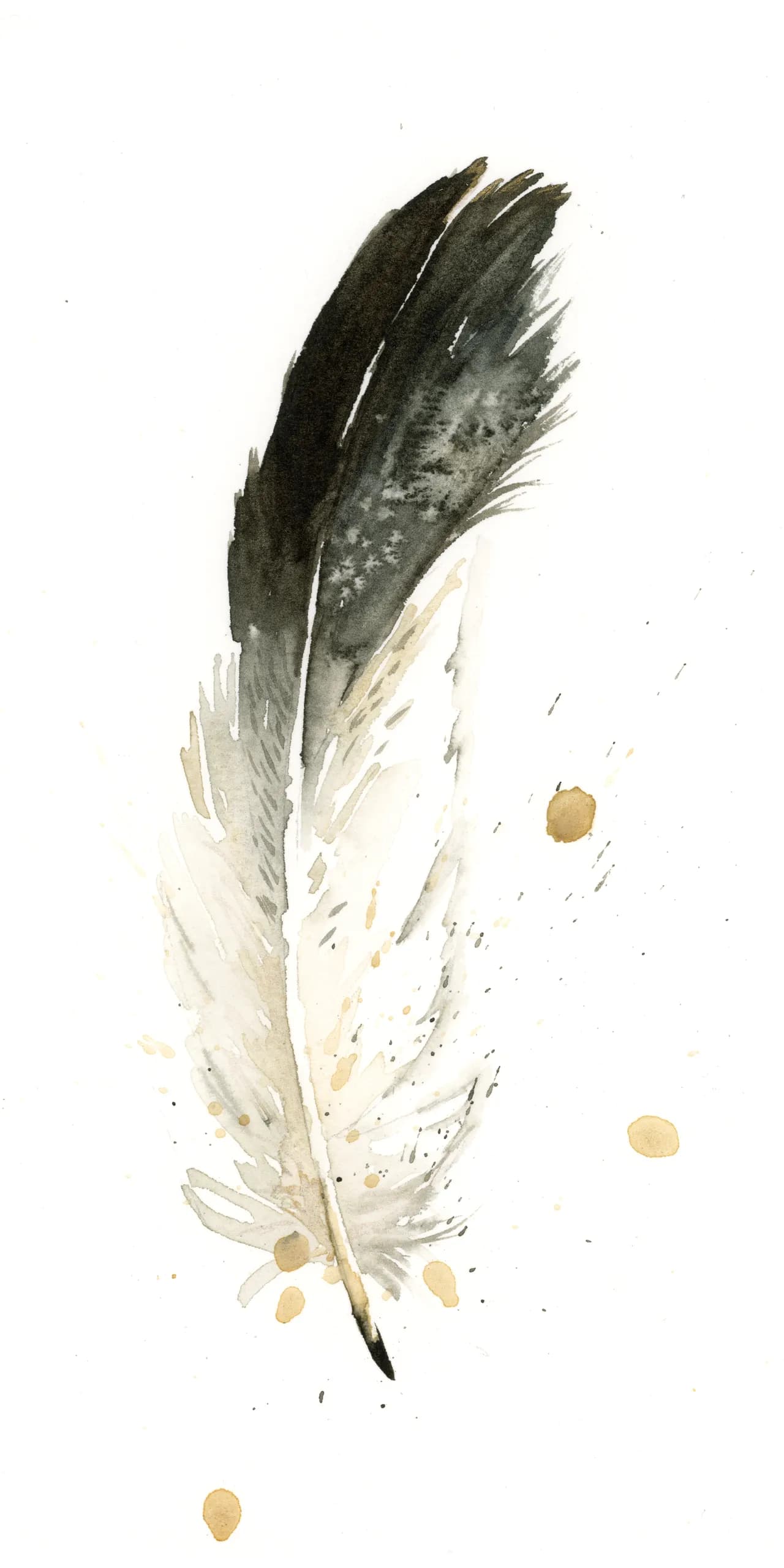 Eagle — watercolor by Shayna Larsen