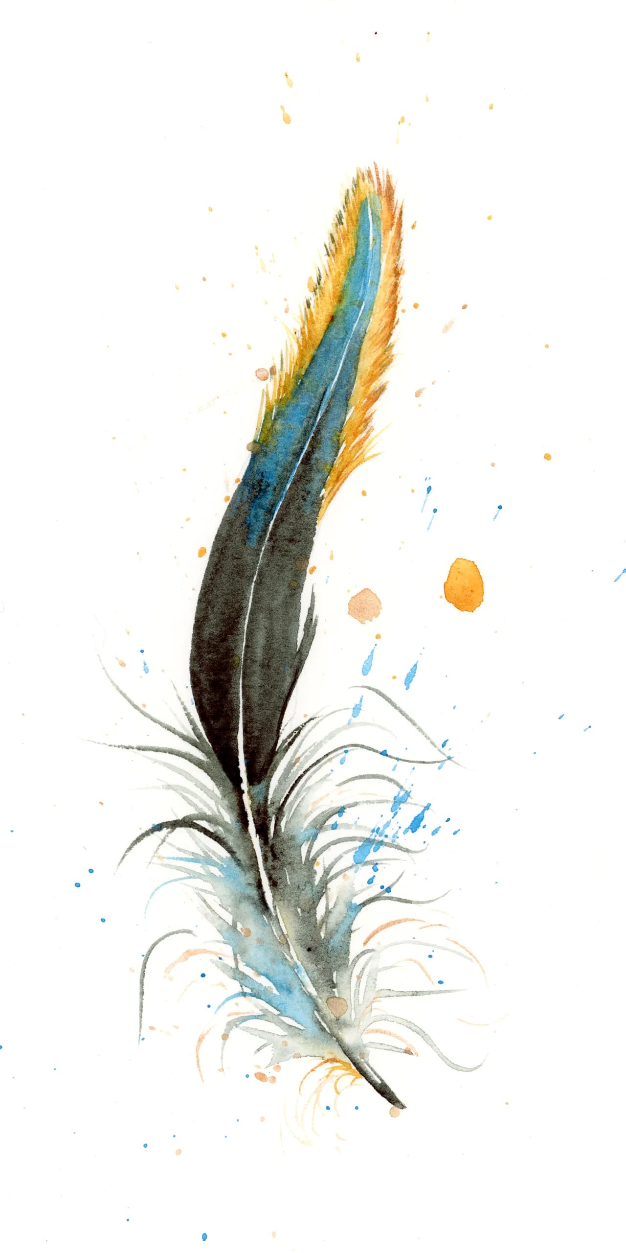 Black Red Furnace Rooster Hackle — watercolor by Shayna Larsen