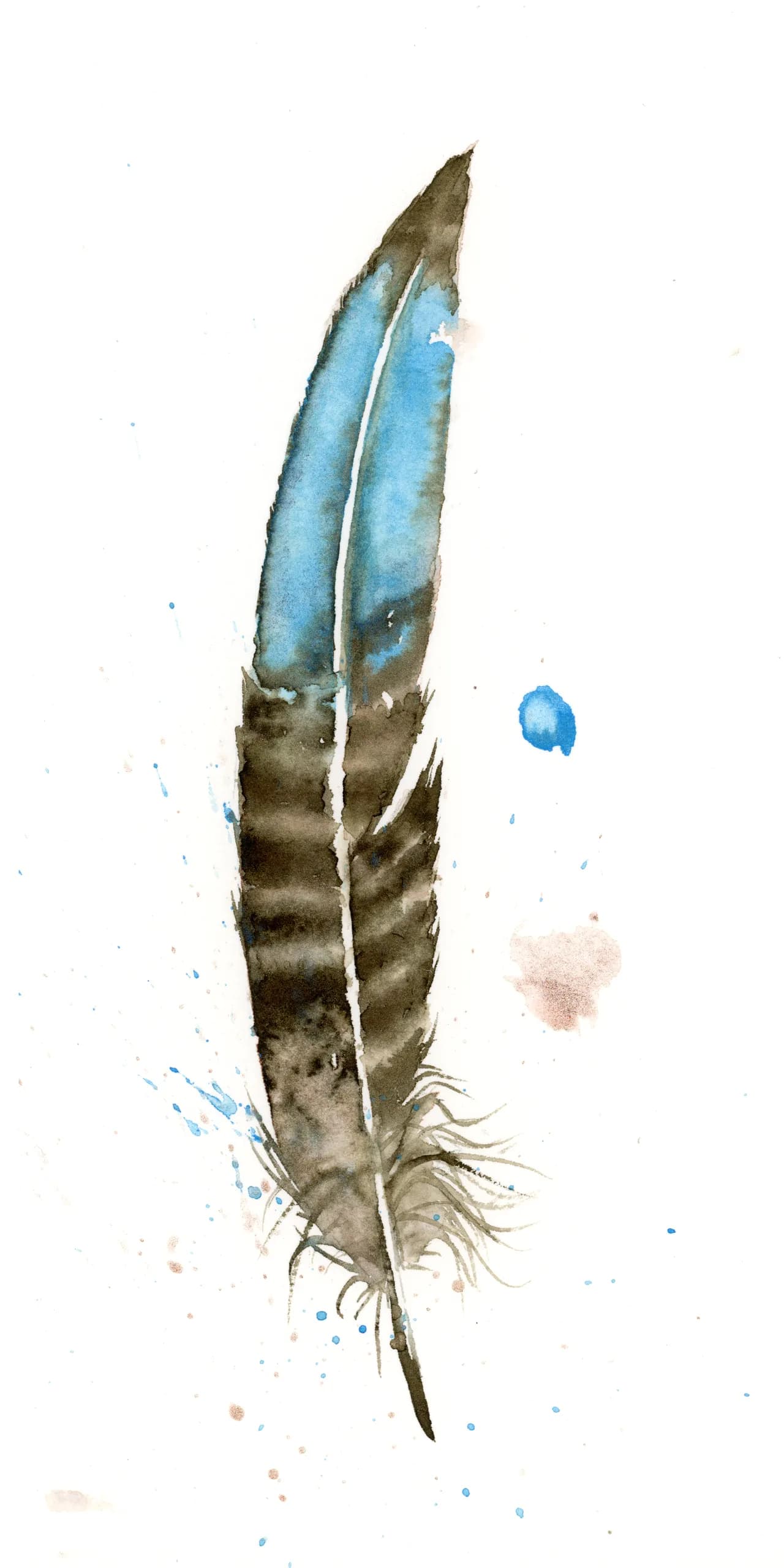 Bronze Tail Peacock Pheasant — watercolor by Shayna Larsen
