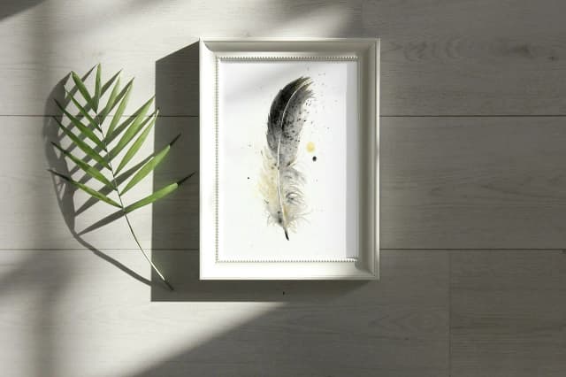 American Crow shown in a room setting