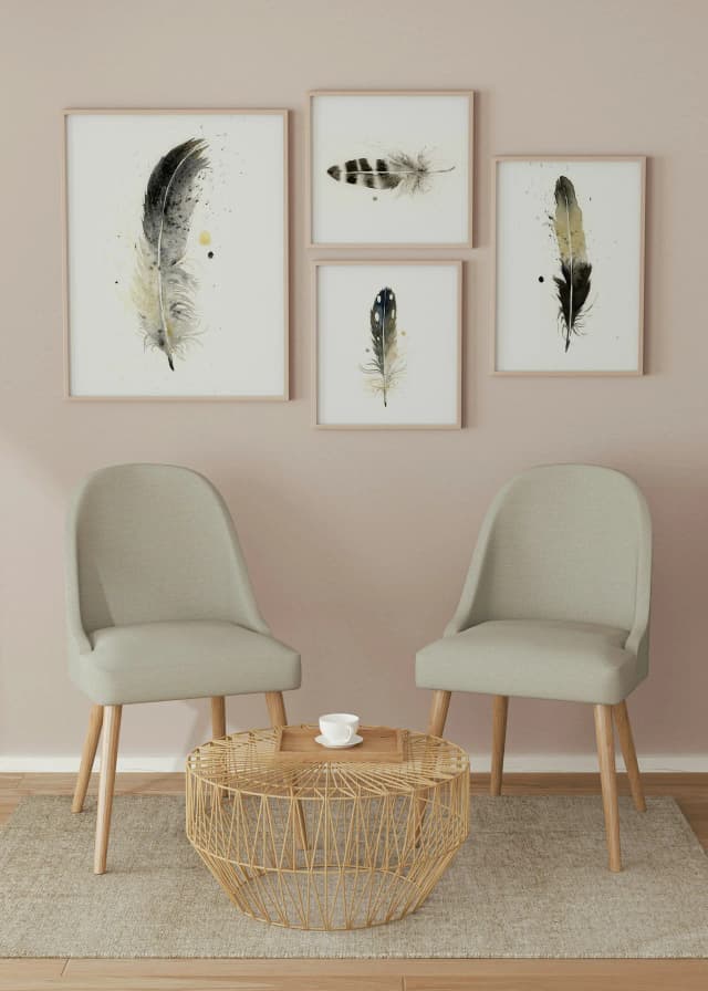 American Crow shown in a room setting